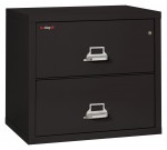 2 Drawer Lateral Fireproof File Cabinet - 32