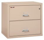 2 Drawer Lateral Fireproof File Cabinet - 32