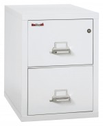 2 Drawer Vertical Fireproof File Cabinet - 18 Wide