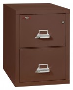 2 Drawer Vertical Fireproof File Cabinet - 18