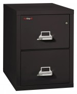 2 Drawer Vertical Fireproof File Cabinet - 18