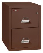 2 Drawer Vertical Fireproof File Cabinet - 21