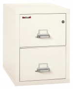 2 Drawer Vertical Fireproof File Cabinet - 21