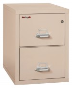 2 Drawer Vertical Fireproof File Cabinet - 21
