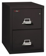 2 Drawer Vertical Fireproof File Cabinet - 21