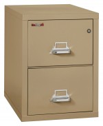 2 Drawer Vertical Fireproof File Cabinet - 21