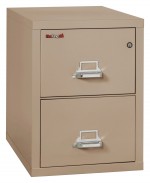 2 Drawer Vertical Fireproof File Cabinet - 21