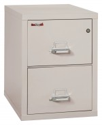 2 Drawer Vertical Fireproof File Cabinet - 21