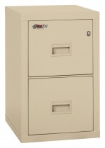 2 Drawer Fireproof File Cabinet - Legal & Letter Size