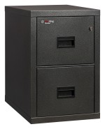 2 Drawer Fireproof File Cabinet - Legal & Letter Size