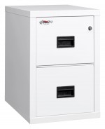 2 Drawer Fireproof File Cabinet - Legal & Letter Size