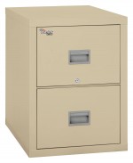 2 Drawer Fireproof File Cabinet - Legal Size