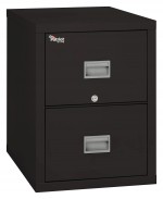 2 Drawer Fireproof File Cabinet - Legal Size