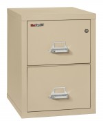 2 Drawer Fireproof File Cabinet - Letter Size