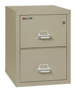 2 Drawer Fireproof File Cabinet - Letter Size