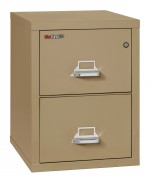 2 Drawer Fireproof File Cabinet - Letter Size