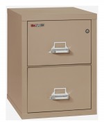 2 Drawer Fireproof File Cabinet - Letter Size