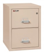 2 Drawer Fireproof File Cabinet - Letter Size