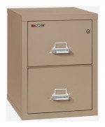 2 Drawer Fireproof File Cabinet - Legal Size