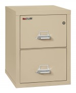 2 Drawer Fireproof File Cabinet - Legal Size