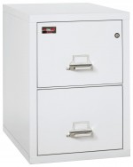 2 Drawer Fireproof File Cabinet - Letter Size