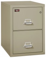 2 Drawer Fireproof File Cabinet - Letter Size