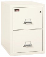 2 Drawer Fireproof File Cabinet - Letter Size