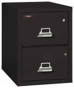 2 Drawer Fireproof File Cabinet with Hidden Safe