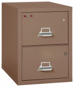 2 Drawer Fireproof File Cabinet with Hidden Safe