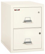 2 Drawer Fireproof File Cabinet with Hidden Safe