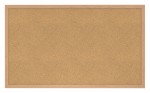 Cork Bulletin Board with Wood Frame - 48 x 36