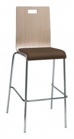 Bar Stool with Back