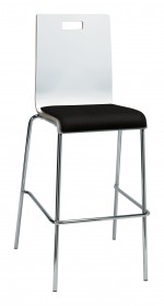 Bar Stool with Back