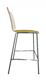 Bar Stool with Back