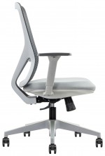 Ergonomic Task Chair