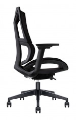 Office Chair with Lumbar Support