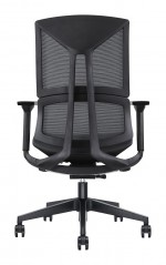 Office Chair with Lumbar Support