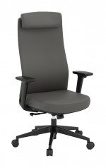 Executive Office Chair with Adjustable Headrest