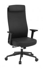 Executive Office Chair with Adjustable Headrest