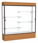 Large Display Case with Lighting - 72