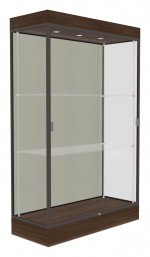 Trophy Display Case with LED Lighting - 48