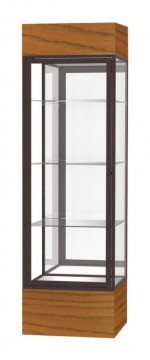 Museum Display Case with LED Lights - 24