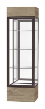 Museum Display Case with LED Lights - 24