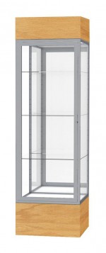 Museum Display Case with LED Lights - 24