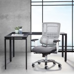 Ergonomic Task Chair with Lumbar Support