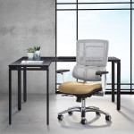 Ergonomic Task Chair with Lumbar Support