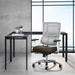 Ergonomic Task Chair with Lumbar Support