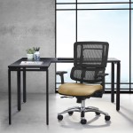 Ergonomic Office Chair with Lumbar Support