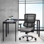 Ergonomic Office Chair with Lumbar Support