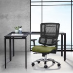 Ergonomic Office Chair with Lumbar Support